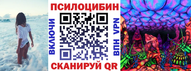 Галлюциногенные грибы Psilocybe  Купить  Маркс 